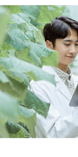 농업회사법인 주식회사 강원영농